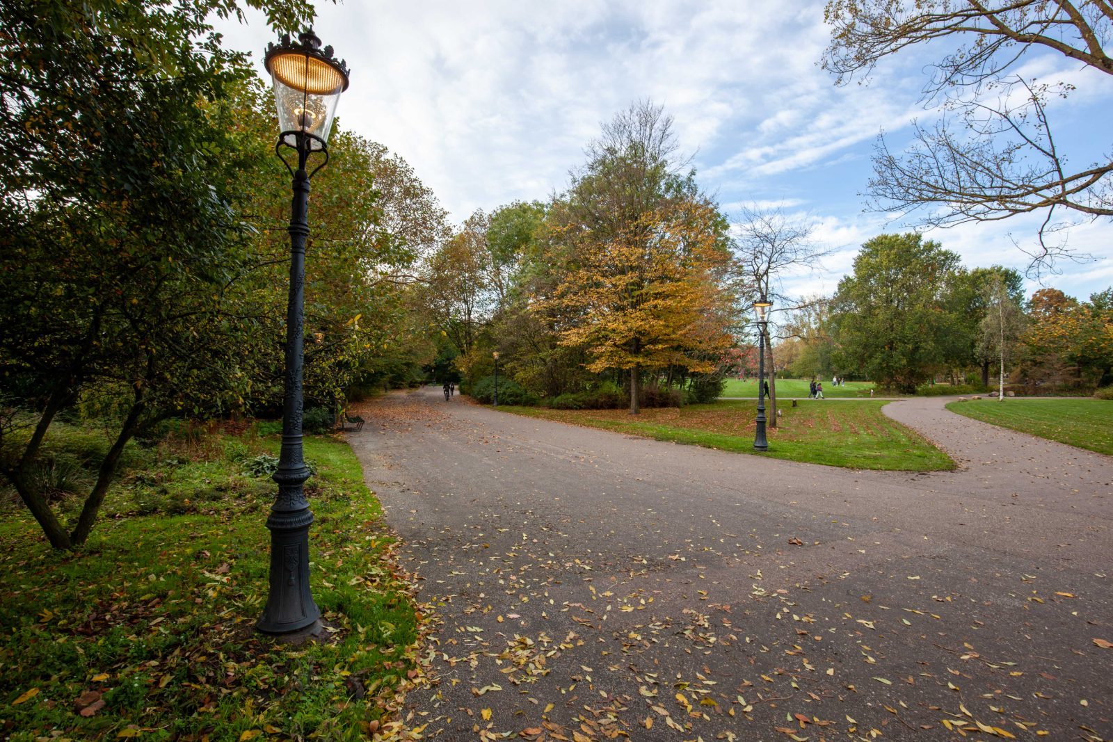A tree-lined path through Oosterpark